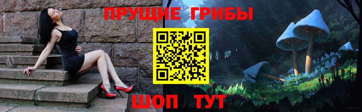Псилоцибиновые грибы GOLDEN TEACHER Владивосток
